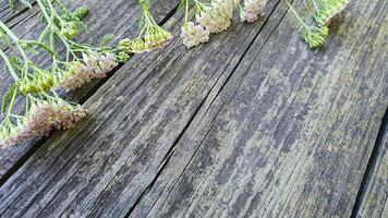 vecchia superficie di legno rustico con foglie. tavole per lo sfondo foto