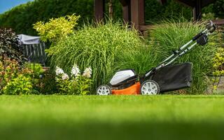 cordless batteria motorizzato erba falciatore nel il giardino foto