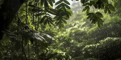 pioggia cascate nel un' foresta pluviale con il pioggia gocce. generativo ai foto