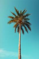 palma albero su blu cielo sfondo. retrò stile tonica immagine foto