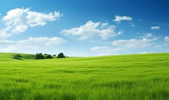 panoramico Visualizza di un' lussureggiante verde campo. ai generato foto