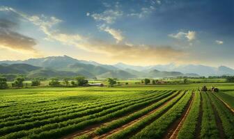 tentacolare agricolo azienda agricola con i campi di raccolti. ai generato foto