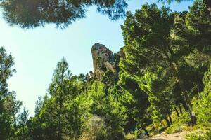 magnifico Visualizza di il montagna e foresta Spagna, Pirenei foto