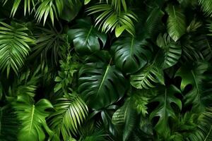 verde tropicale Monstera foglie, palma le foglie e vario le foglie panoramico sfondo ai generato foto