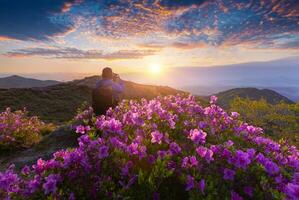 un' uomo è assunzione il immagini di il primo leggero nel mattina e primavera Visualizza di rosa azalea fiori a hwangmaesan montagna con il sfondo di luce del sole e nebbioso montagna, pistola a pistola, Sud Corea foto