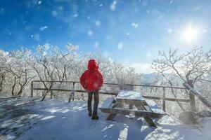 in cima il snow-capped deogyusan montagne su un' chiaro giorno e il neve soffiato di il vento nel inverno,sud Corea. foto