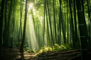 luminosa luce del sole filtraggio attraverso bambù foresta ai generativo foto