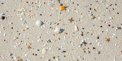 un' uccello occhio Visualizza di il sabbia spiaggia sfondo con conchiglie e stella marina sparpagliato su il sinistra e giusto lati di il immagine foto
