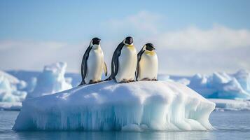 pinguini ondeggiante su ghiaccio floe foto