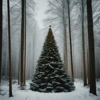 ai generato contenuto. incantata inverno Paese delle meraviglie sempreverde foresta a mezzanotte foto