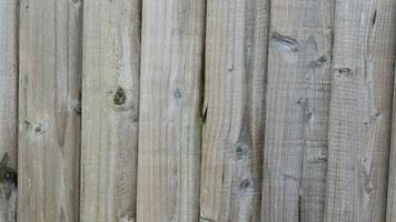naturale legna grano struttura sfondo foto