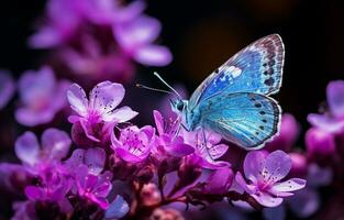 bellissimo farfalla con viola e blu tonalità posatoi delicatamente su un' vivace anemone foresta fiore. ai generativo foto