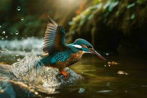 colibrì volo nel acqua. creare ai foto