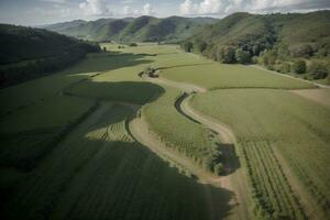 sostenibile agricoltura nutrimento il terra per un' più verde futuro. ai generato. foto