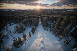 aereo serenità tramonto al di sopra di un' nevoso foresta. ai generato. foto