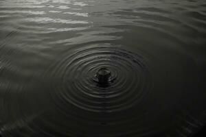 tranquillo acqua increspature un' monocromatico sinfonia. ai generato. foto