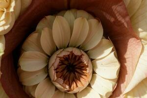 fiori nel pieno fioritura un' macro delizia. ai generato. foto