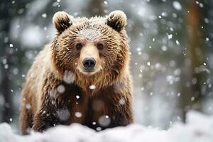 grizzly orso madre e cuccioli. HD qualità rasoio acuto immagini. ai generativo foto