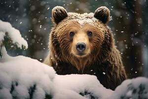 grizzly orso madre e cuccioli. HD qualità rasoio acuto immagini. ai generativo foto