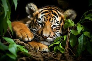 profilo ritratto di Bengala tigre. ai generativo foto