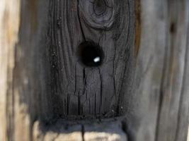 bellissimo tronco d'albero secco naturale con foro. fondo in legno foto