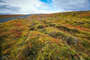 bellissimo paesaggio naturale in autunno foto