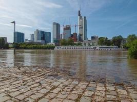 inondazione del fiume principale a francoforte sul meno foto