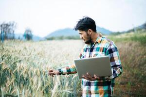 agricoltore intelligente che controlla la fattoria dell'orzo con il computer portatile foto