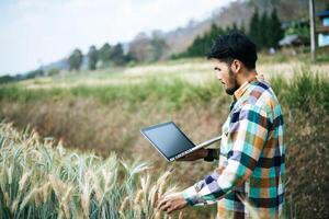 agricoltore intelligente che controlla la fattoria dell'orzo con il computer portatile foto