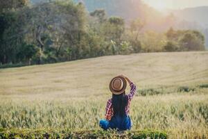 contadina con la stagione della raccolta del campo di orzo foto