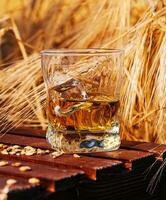 bicchiere di whisky nel un' campo con orecchie foto