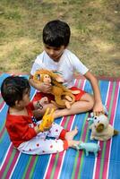 Due contento ragazzi nel società parco, contento asiatico fratelli chi siamo sorridente felicemente insieme. fratelli giocare all'aperto nel estate, migliore gli amici. bambino piccolo bambino ragazzo giocando con il suo contento fratello nel il giardino foto