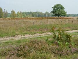 haakbergen nel il Olanda foto