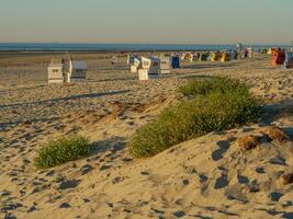 il isola di langeoog foto