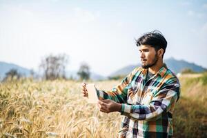 agricoltore intelligente che controlla la fattoria dell'orzo con il computer tablet foto