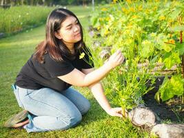 ritratto di giardiniere giovane donna asiatico paffuto carino bellissimo uno persona guardare mano Tenere cura per impianti le foglie giardino parco bellezza fiori sera luce del sole fresco sorridente contento rilassare estate giorno foto