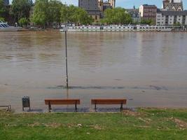 inondazione del fiume principale a francoforte sul meno foto