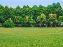 dalla chiesa park a collegno foto