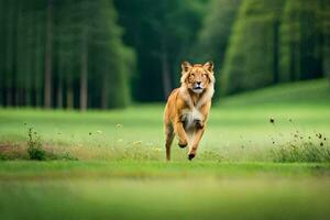 un' cane in esecuzione attraverso un' campo. ai-generato foto