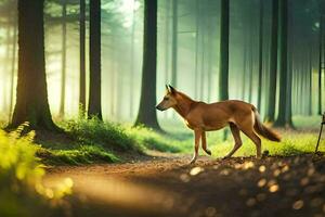 un' cane a piedi attraverso un' foresta a Alba. ai-generato foto