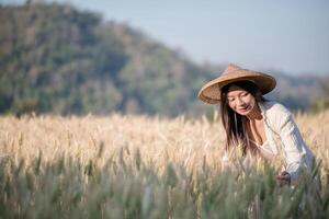 contadina vietnamita nel campo del raccolto di grano foto