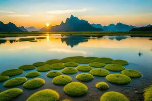 il sole sorge al di sopra di un' lago con verde impianti. ai-generato foto