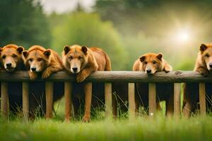 cinque Marrone orsi in piedi su un' di legno recinzione. ai-generato foto