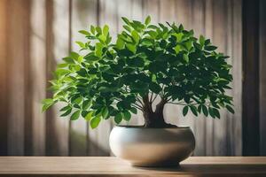 Bonsai albero nel un' pentola su un' di legno tavolo. ai-generato foto