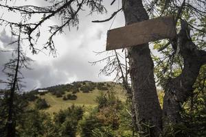 cartello in legno autentico, segnale di direzione in legno foto