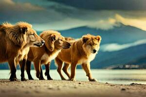 tre leoni a piedi lungo il spiaggia con montagne nel il sfondo. ai-generato foto