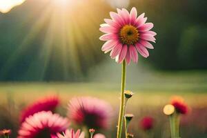 rosa fiori nel il sole. ai-generato foto