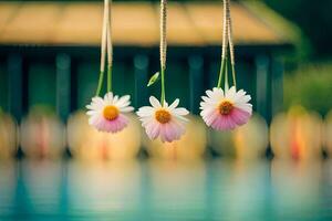 tre fiori sospeso a partire dal stringhe vicino un' piscina. ai-generato foto