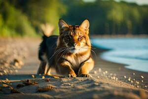 un' gatto a piedi su il spiaggia vicino acqua. ai-generato foto