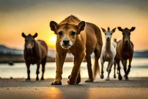un' gruppo di cavalli a piedi su il spiaggia a tramonto. ai-generato foto